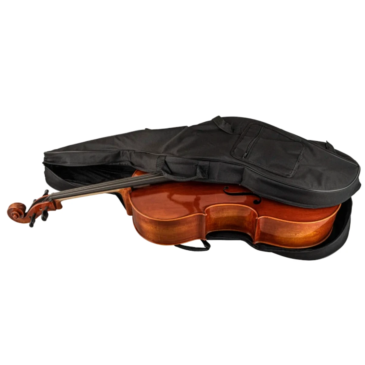 dan cello scherl roth sr65e4h