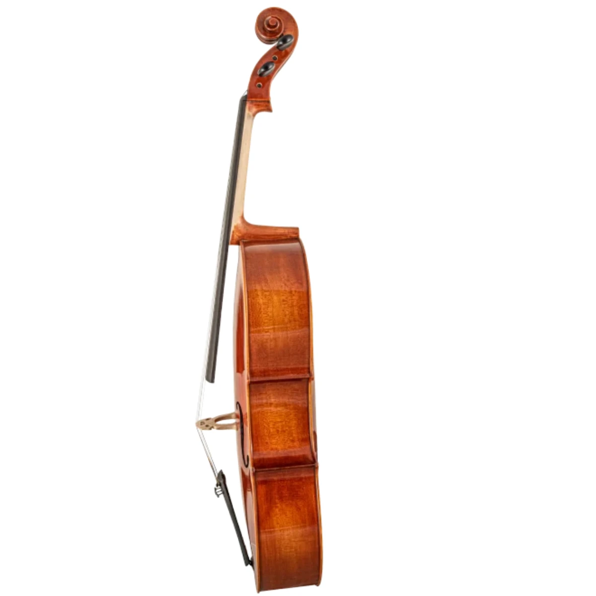 hong dan cello scherl roth sr65e4h
