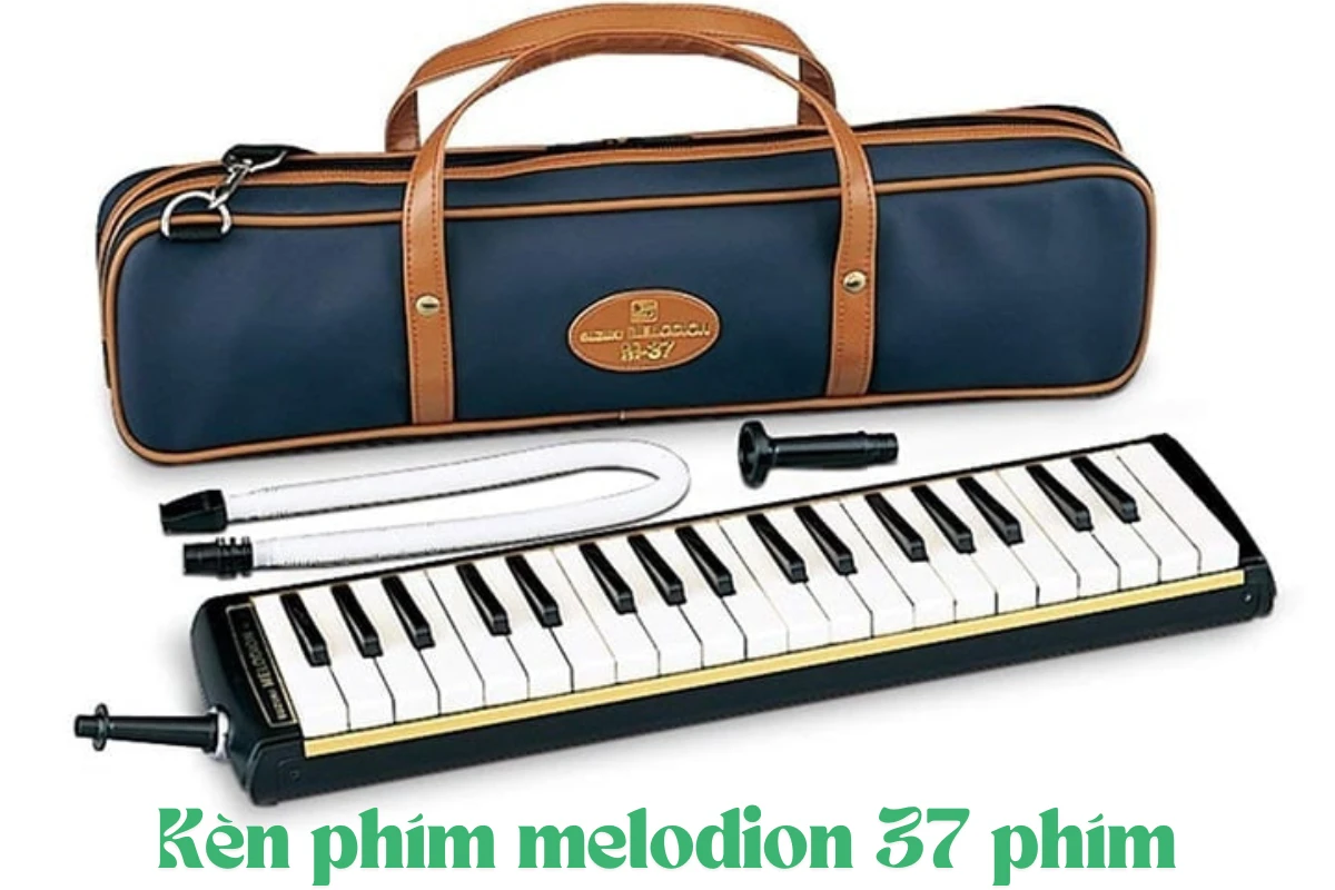 Kèn phím melodion 37 phím