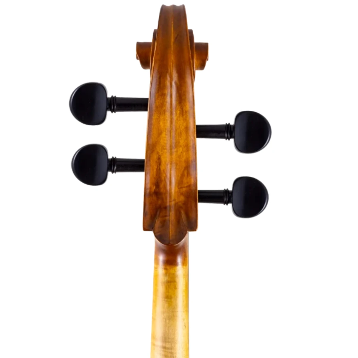 mat sau can dan cello scherl roth sr55e4h