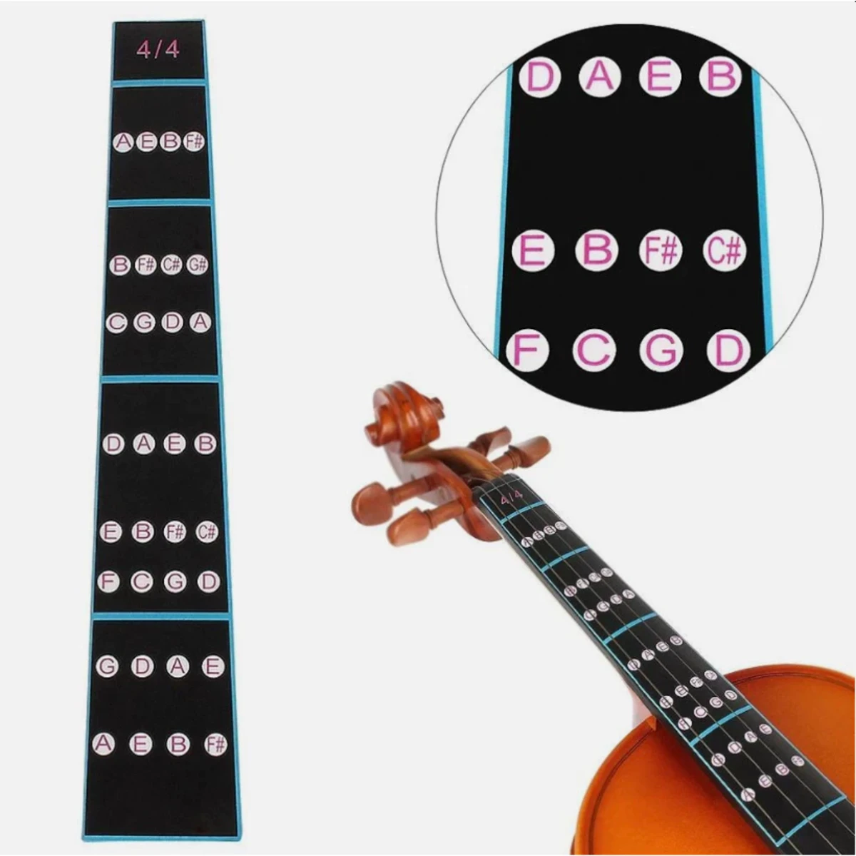 mieng dan violin
