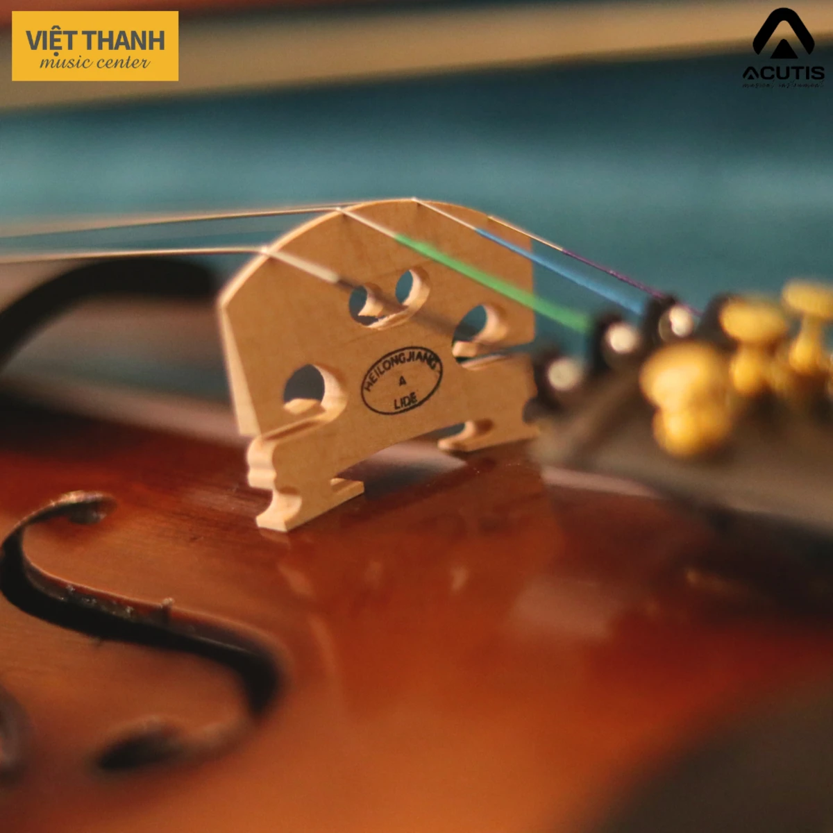 ngua dan violin acutis ahv4401