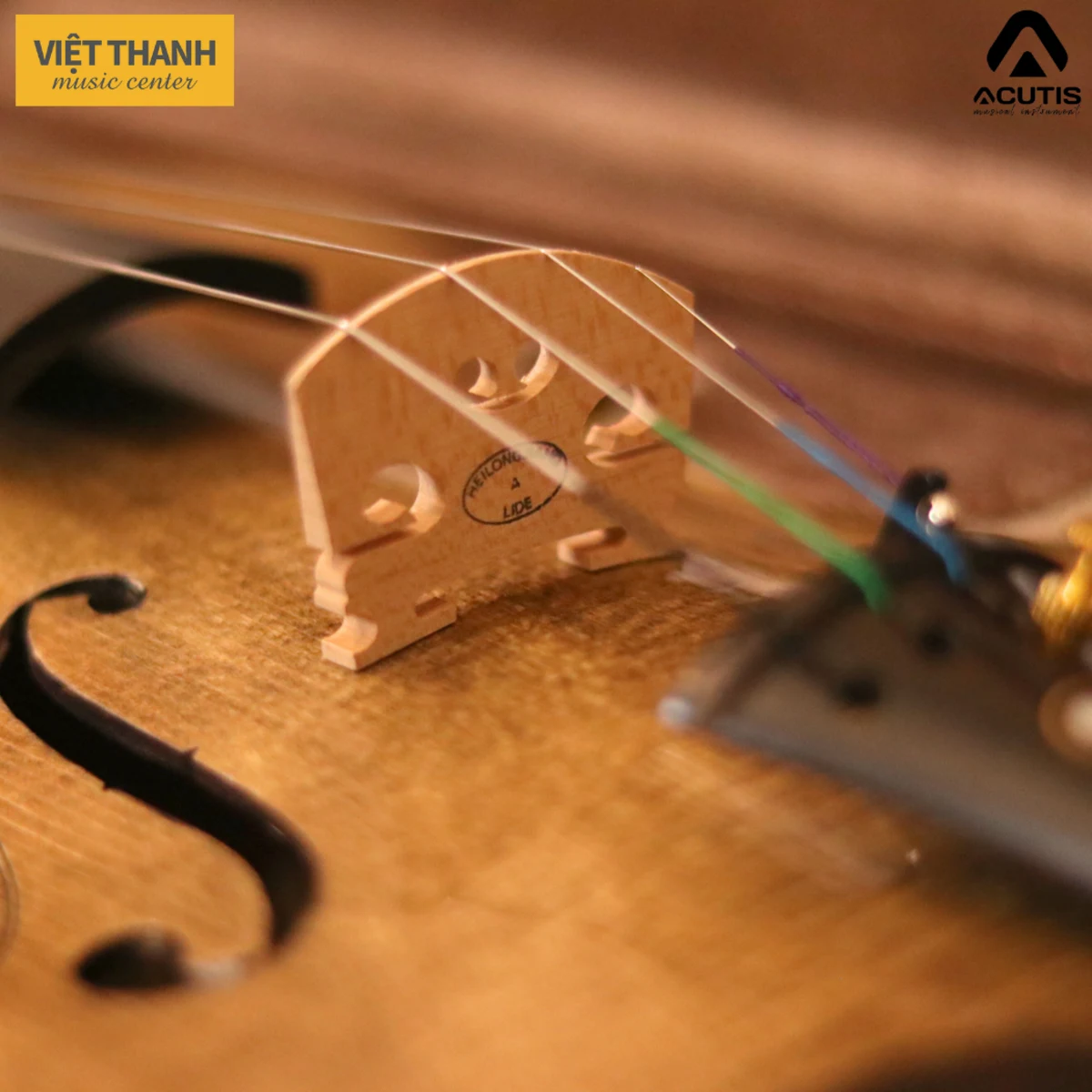 ngua dan violin acutis avf100