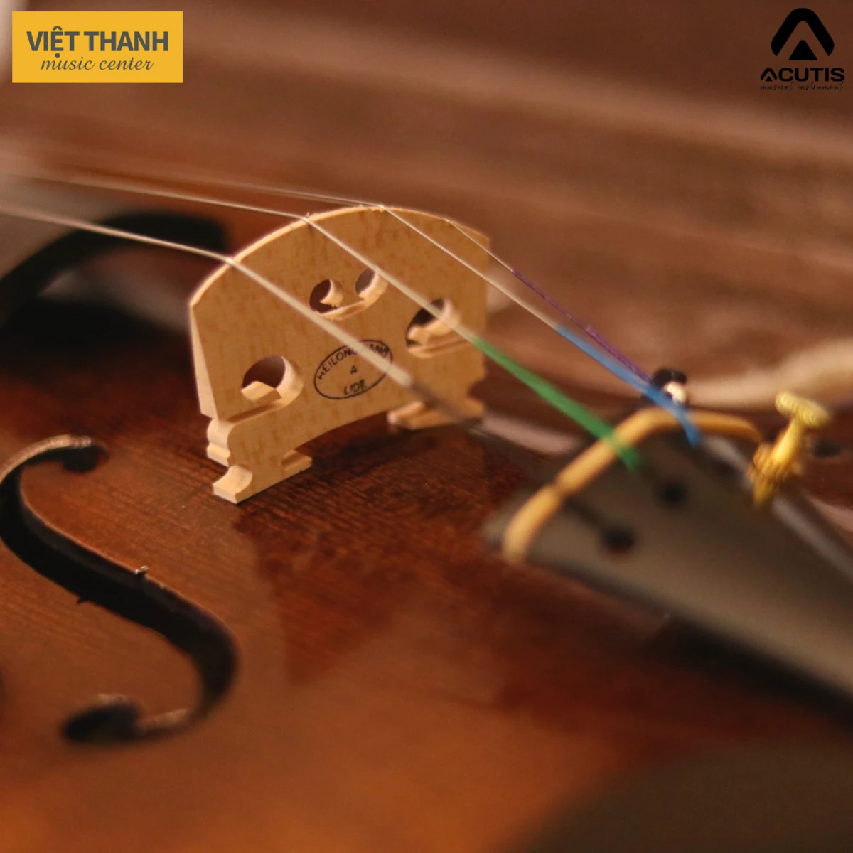 ngua dan violin acutis avf110