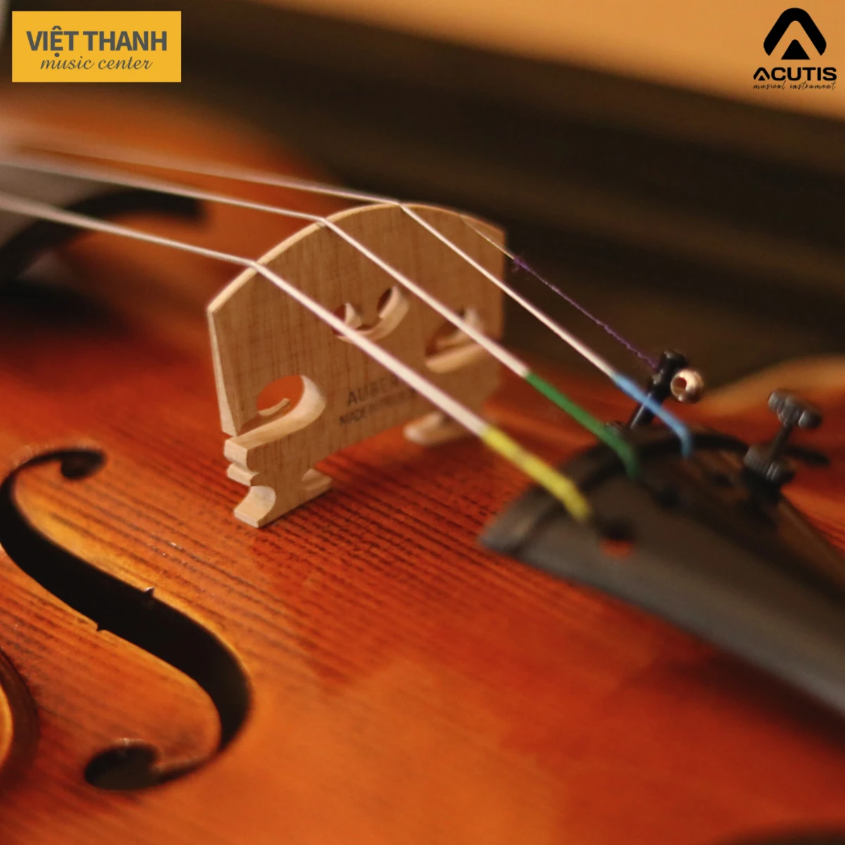ngua dan violin acutis avf130