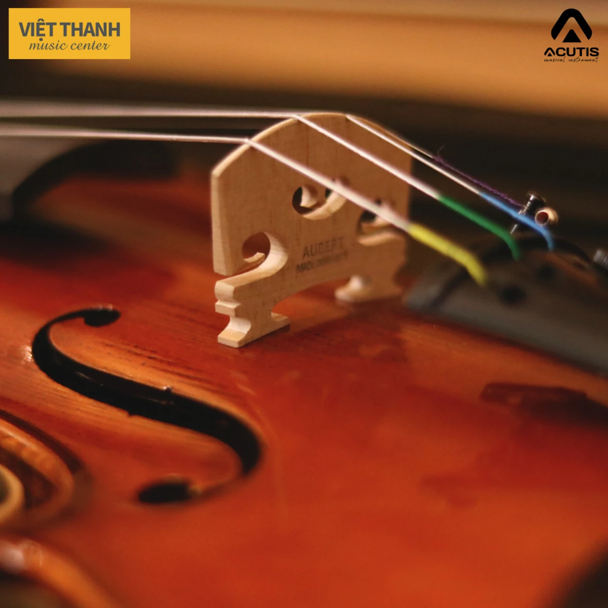 ngua dan violin acutis avf180