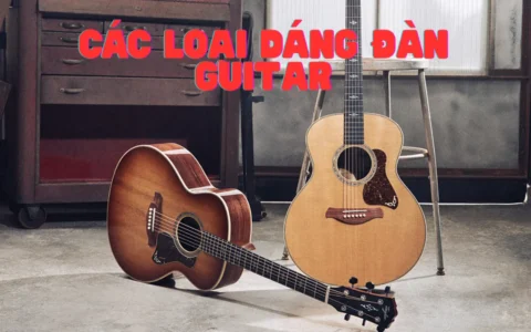 Các loại dáng đàn guitar acoustic – Hướng dẫn chi tiết cho người chơi mọi cấp độ