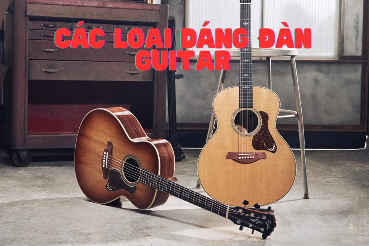 Các loại dáng đàn guitar acoustic – Hướng dẫn chi tiết cho người chơi mọi cấp độ