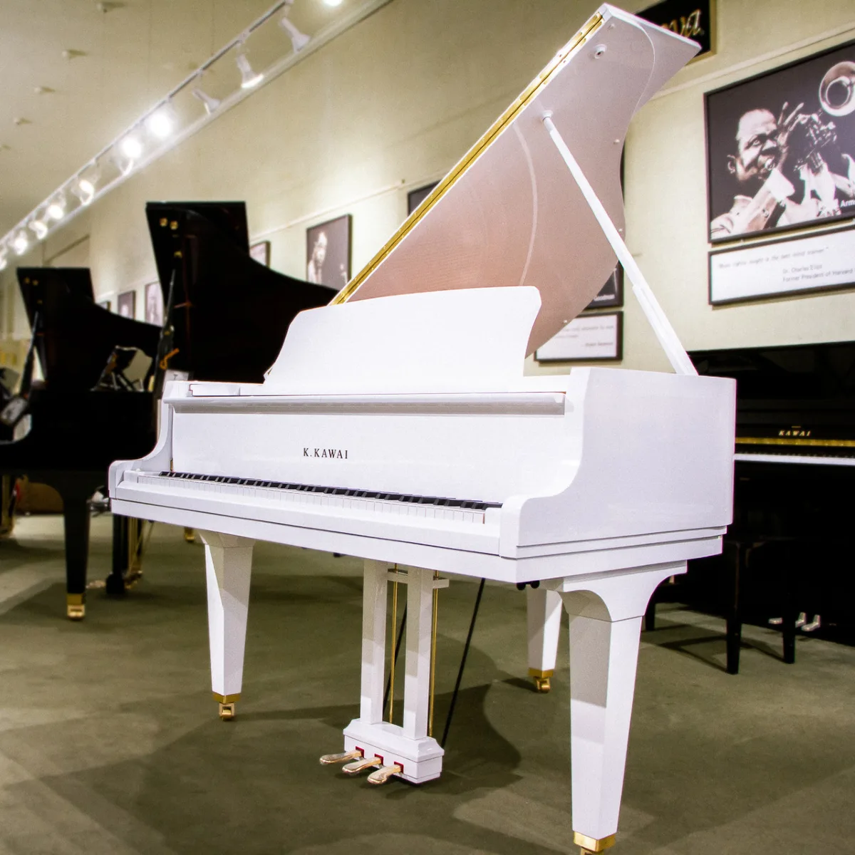 dan grand piano mau trang