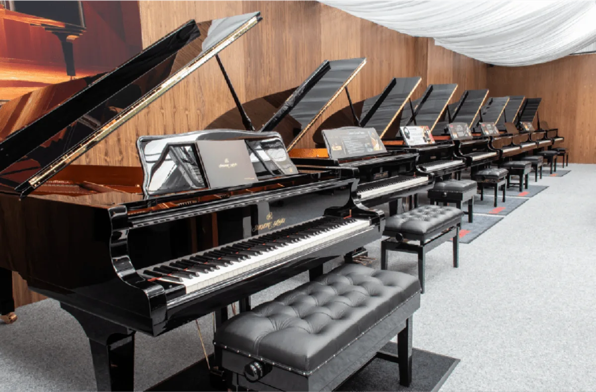 dan grand piano tai kho dan viet thanh