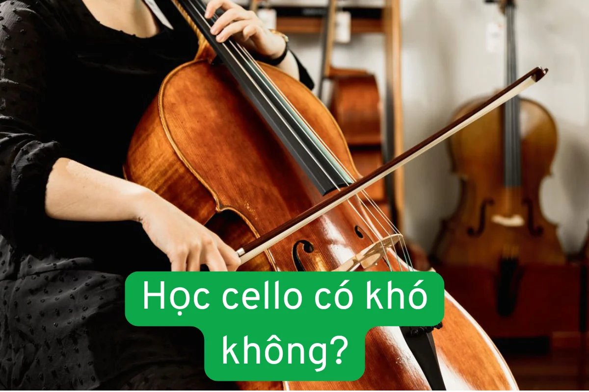 Học cello có khó không? toàn bộ kinh nghiệm & lộ trình cho người mới