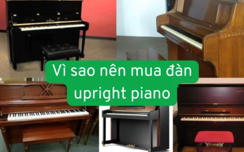 vi sao nen mua dan piano upright