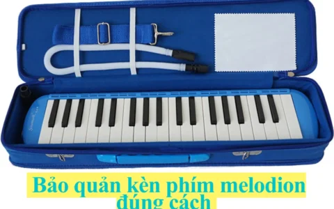Bảo quản kèn phím melodion đúng cách để luôn bền đẹp và âm thanh trong trẻo