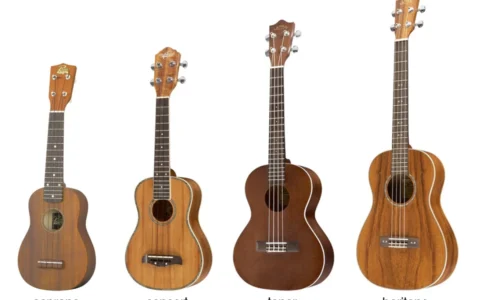 Các loại đàn Ukulele và đặc điểm nổi bật