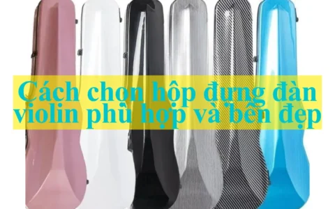 cach chon hop dung dan violin