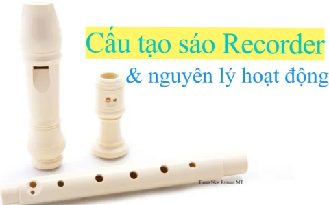 Cấu tạo của sáo recorder chi tiết và nguyên lý hoạt động