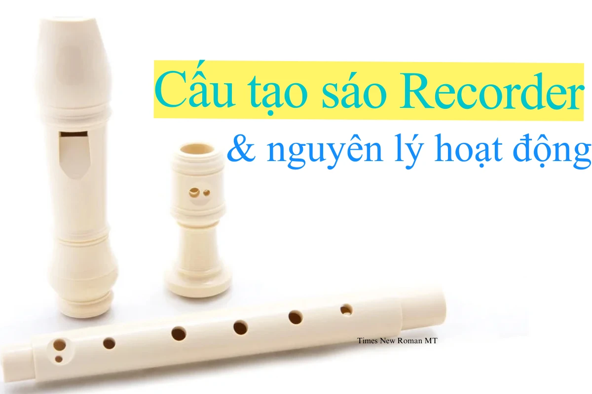 Cấu tạo của sáo recorder chi tiết và nguyên lý hoạt động