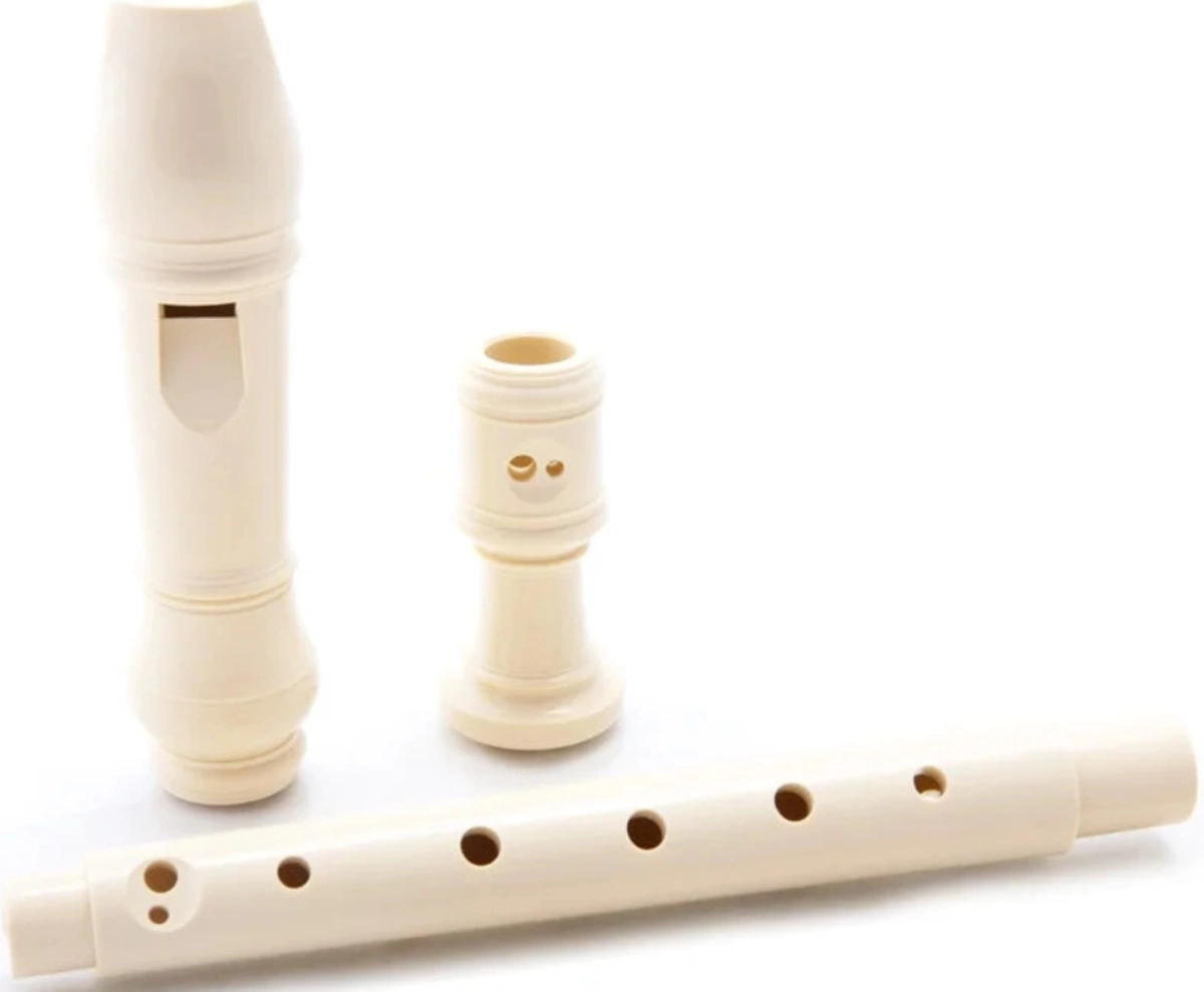 cau tao tong quan cua sao recorder