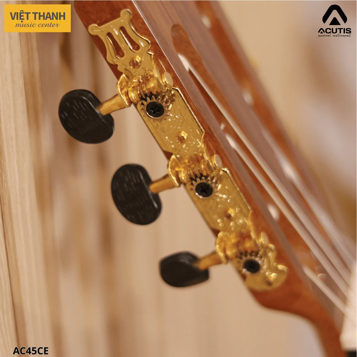 chot dan guitar acutis ac45ce