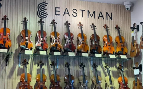 cua hang violin