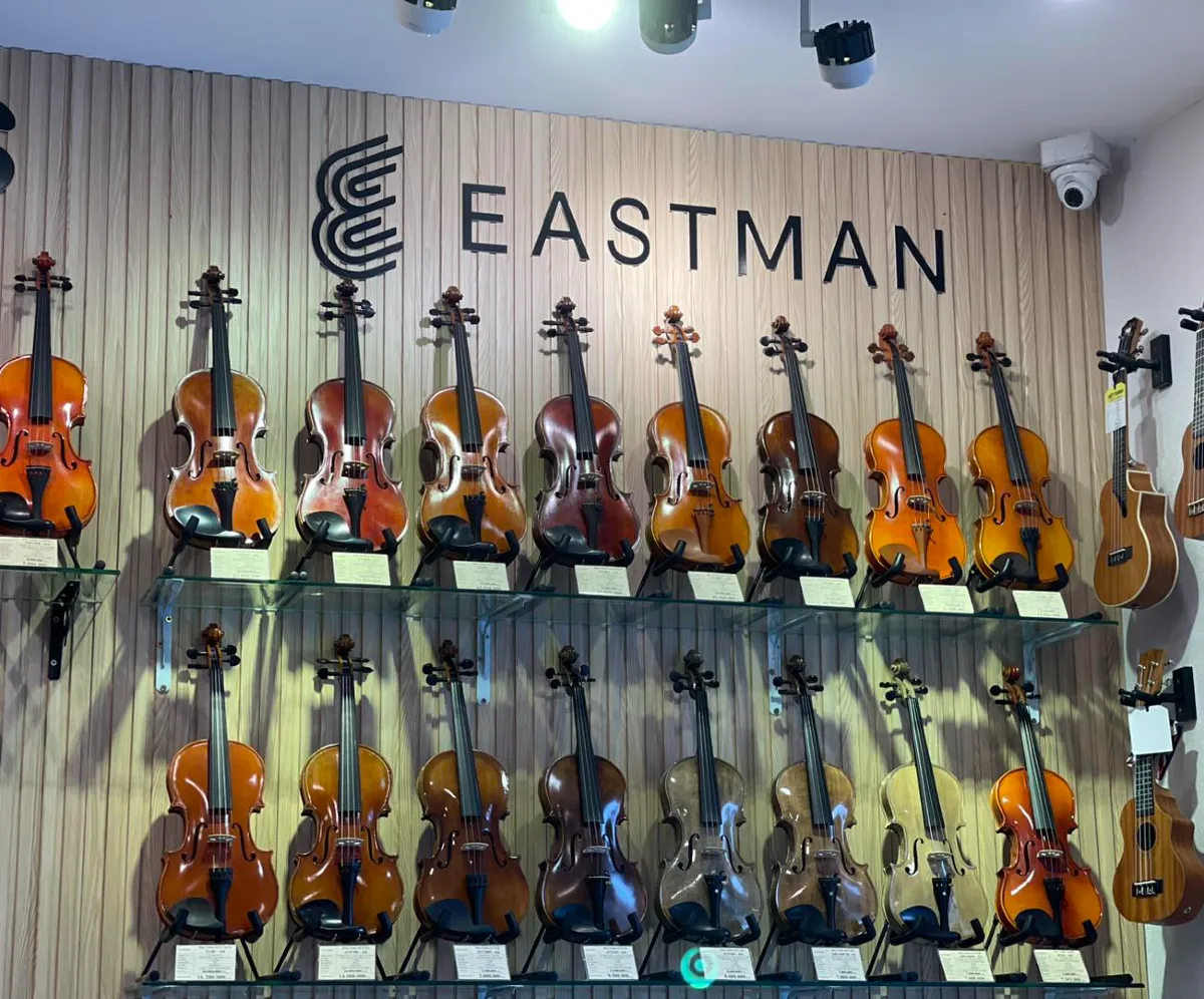 cua hang violin