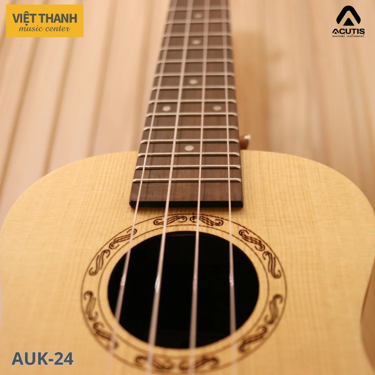 day dan ukulele acutis auk 24
