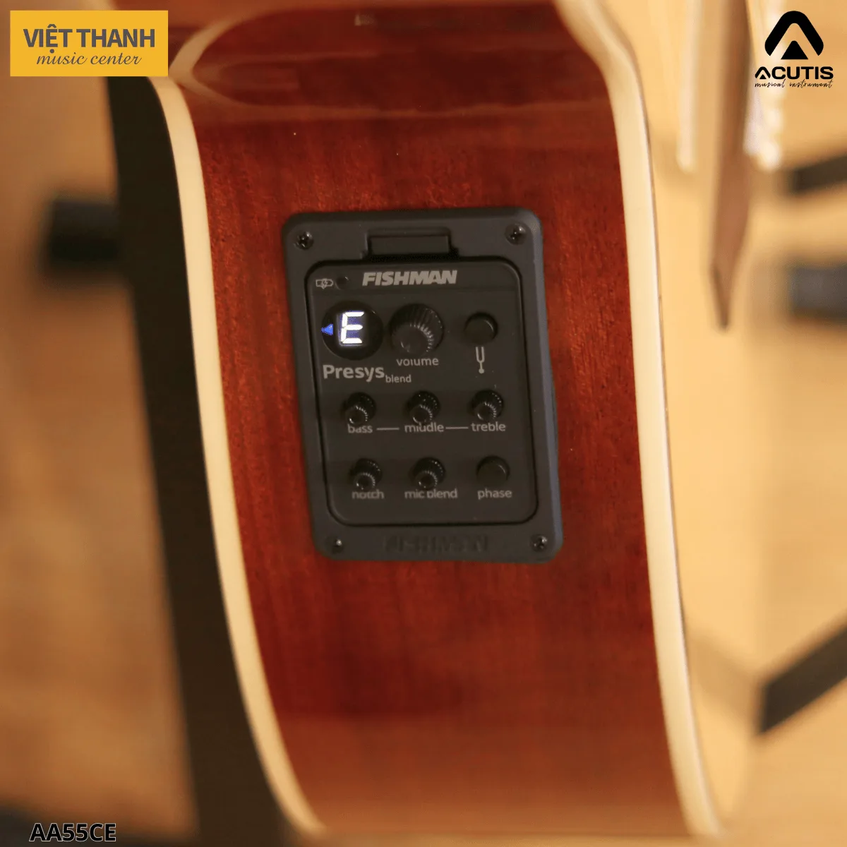 eq dan guitar acutis aa55ce