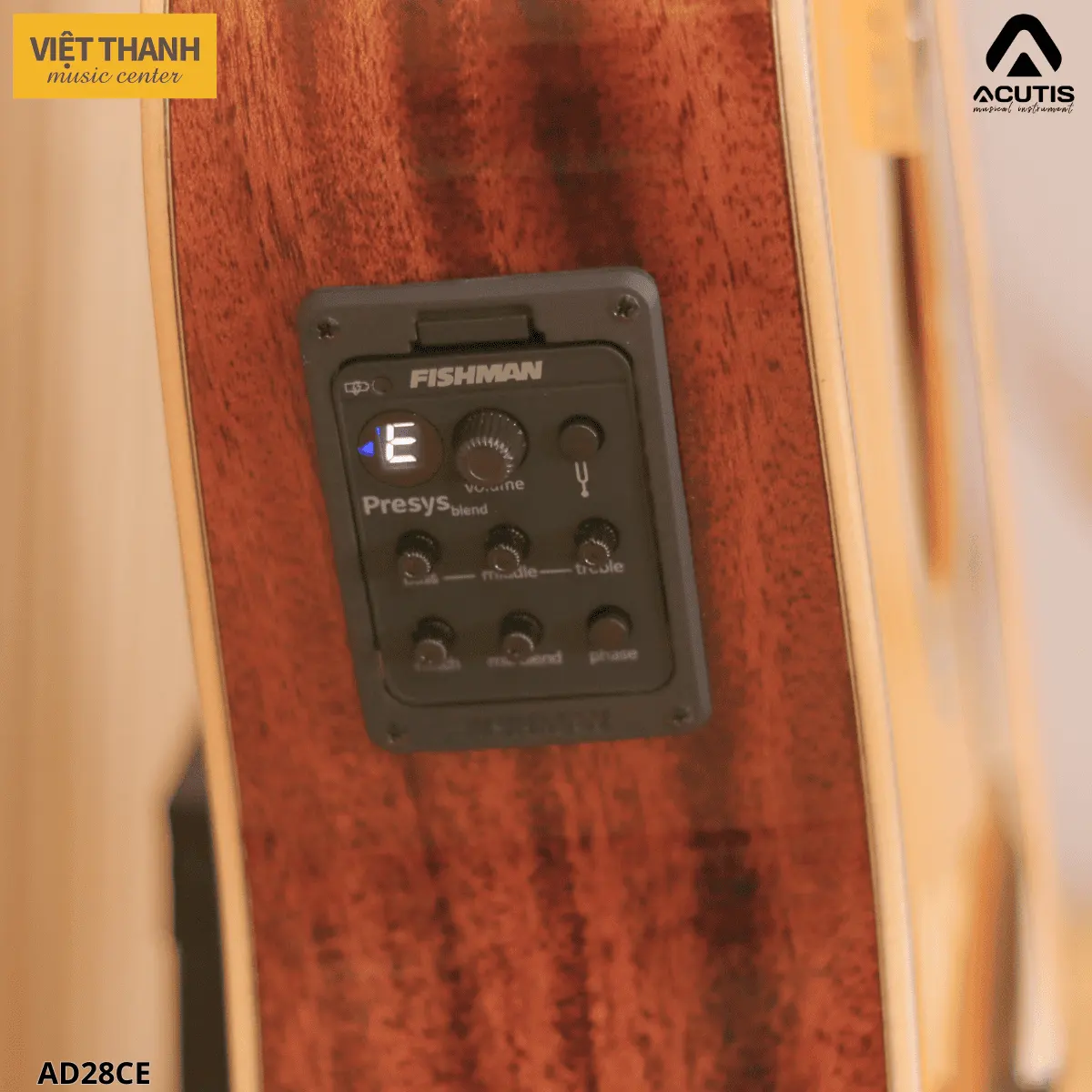 eq dan guitar acutis ad28ce