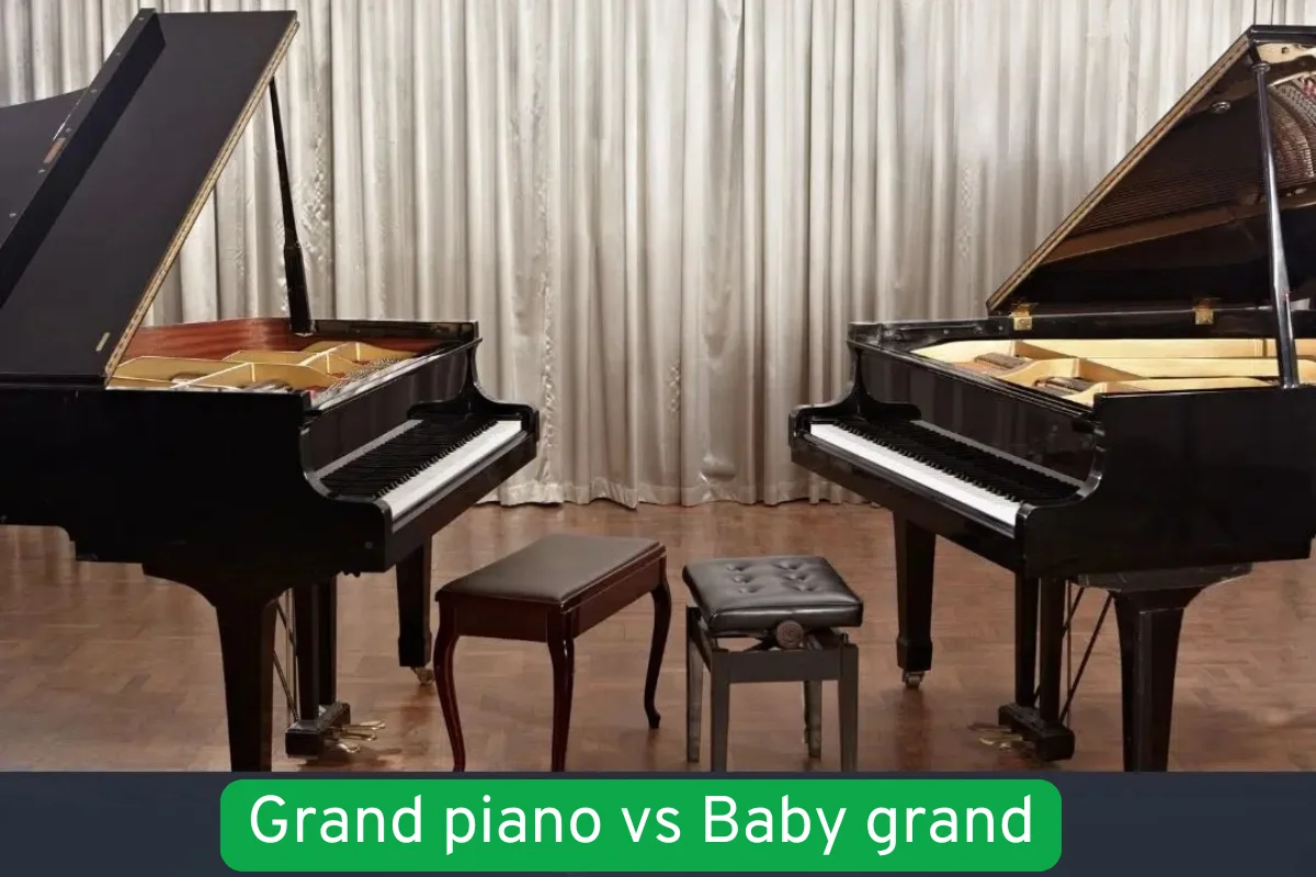 So sánh chi tiết giữa Grand Piano và Baby Grand Piano