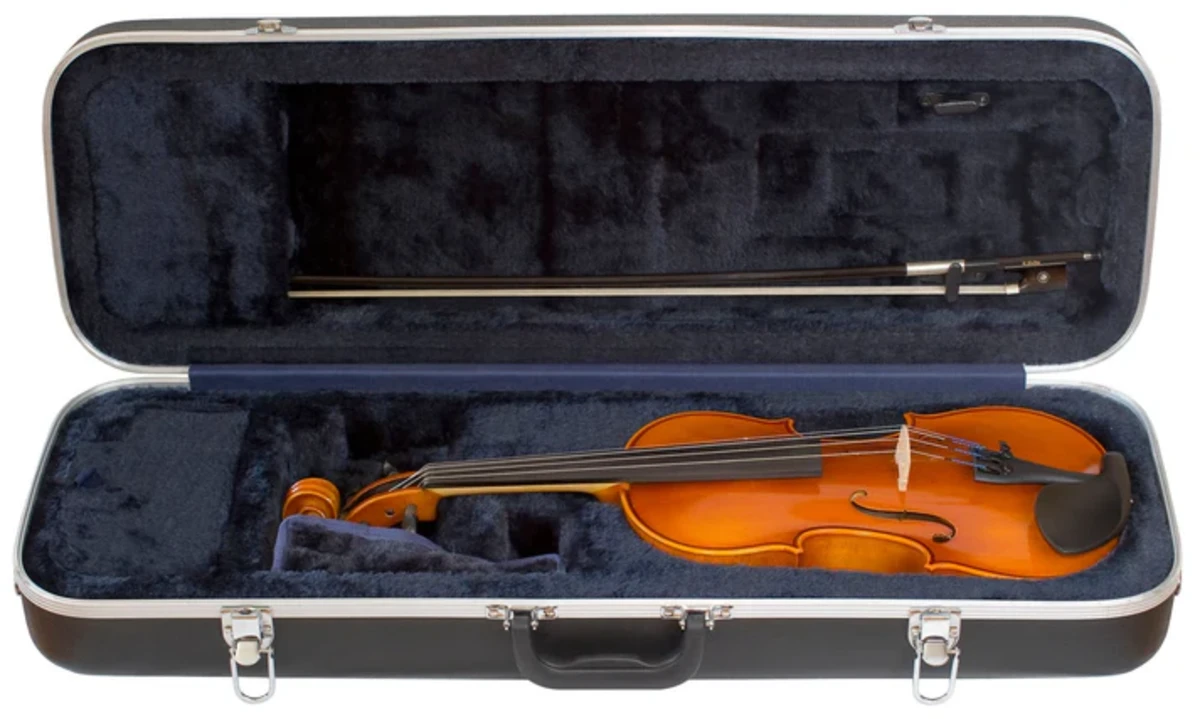 hop violin 3 4 co lot nhung bao ve