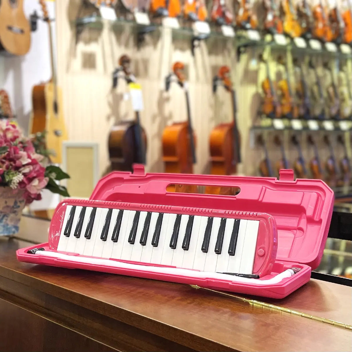 ken phim melodica swan sw32j-1 mau hong