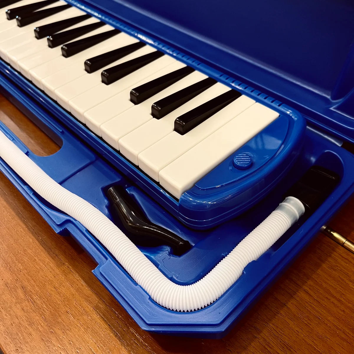 ken phim melodica swan sw32j 4 32 phim mau xanh