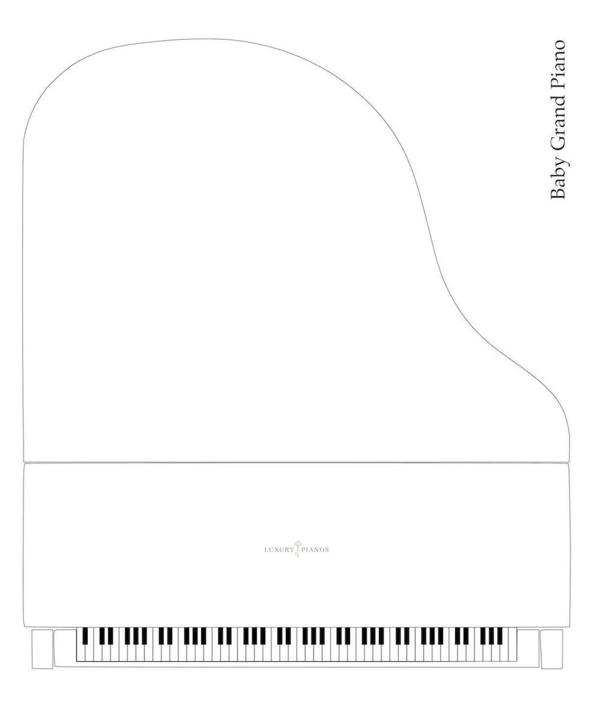 kich thuoc baby grand
