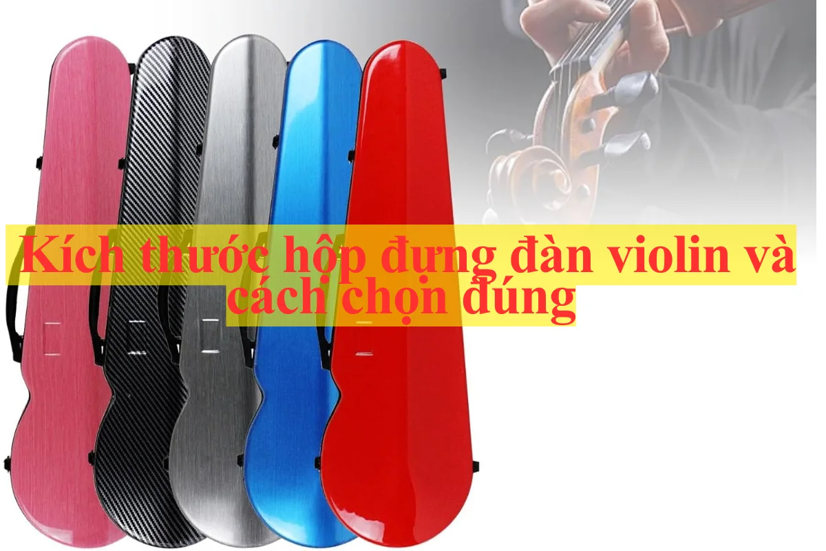 Kích thước hộp đựng đàn violin và cách chọn đúng