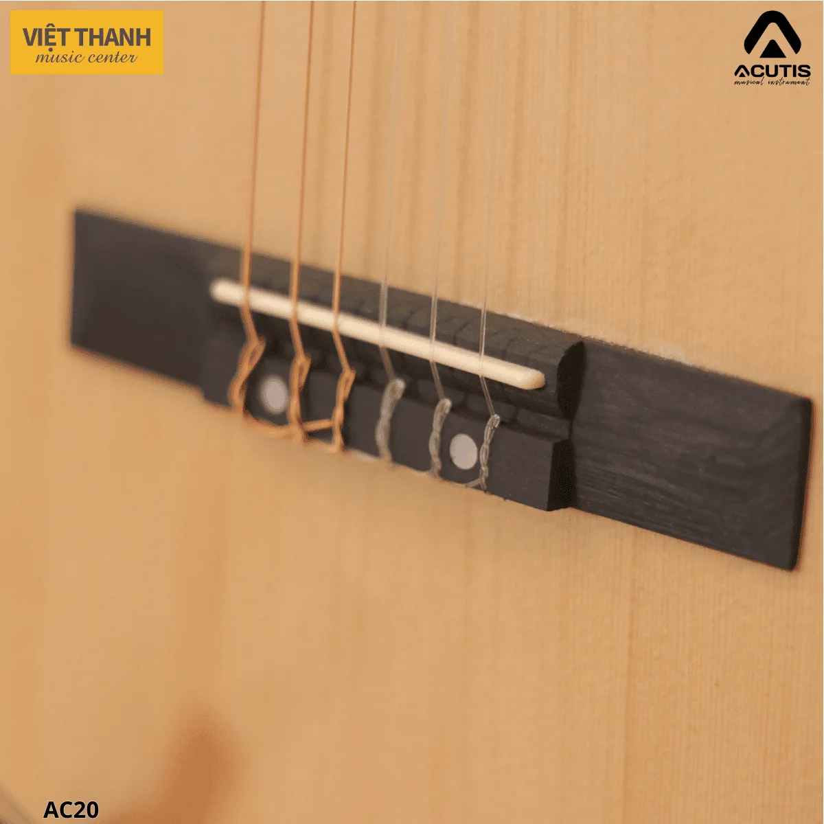 ngua dan guitar acutis ac20