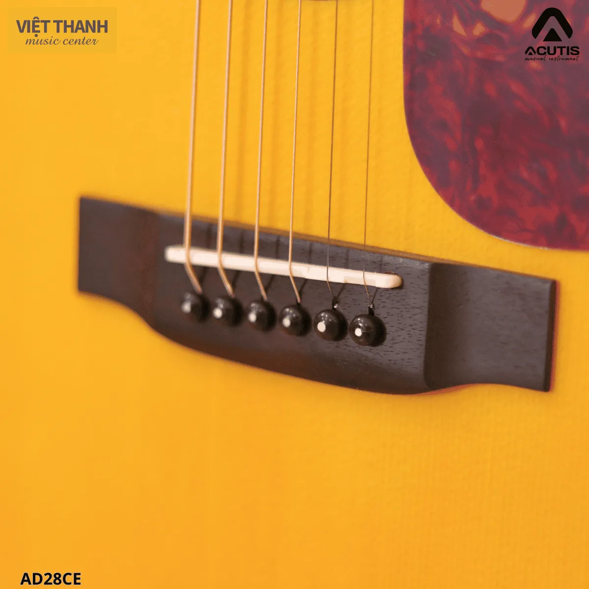 ngua dan guitar acutis ad28ce
