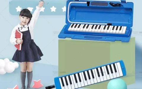 nhac cu ken phim melodion