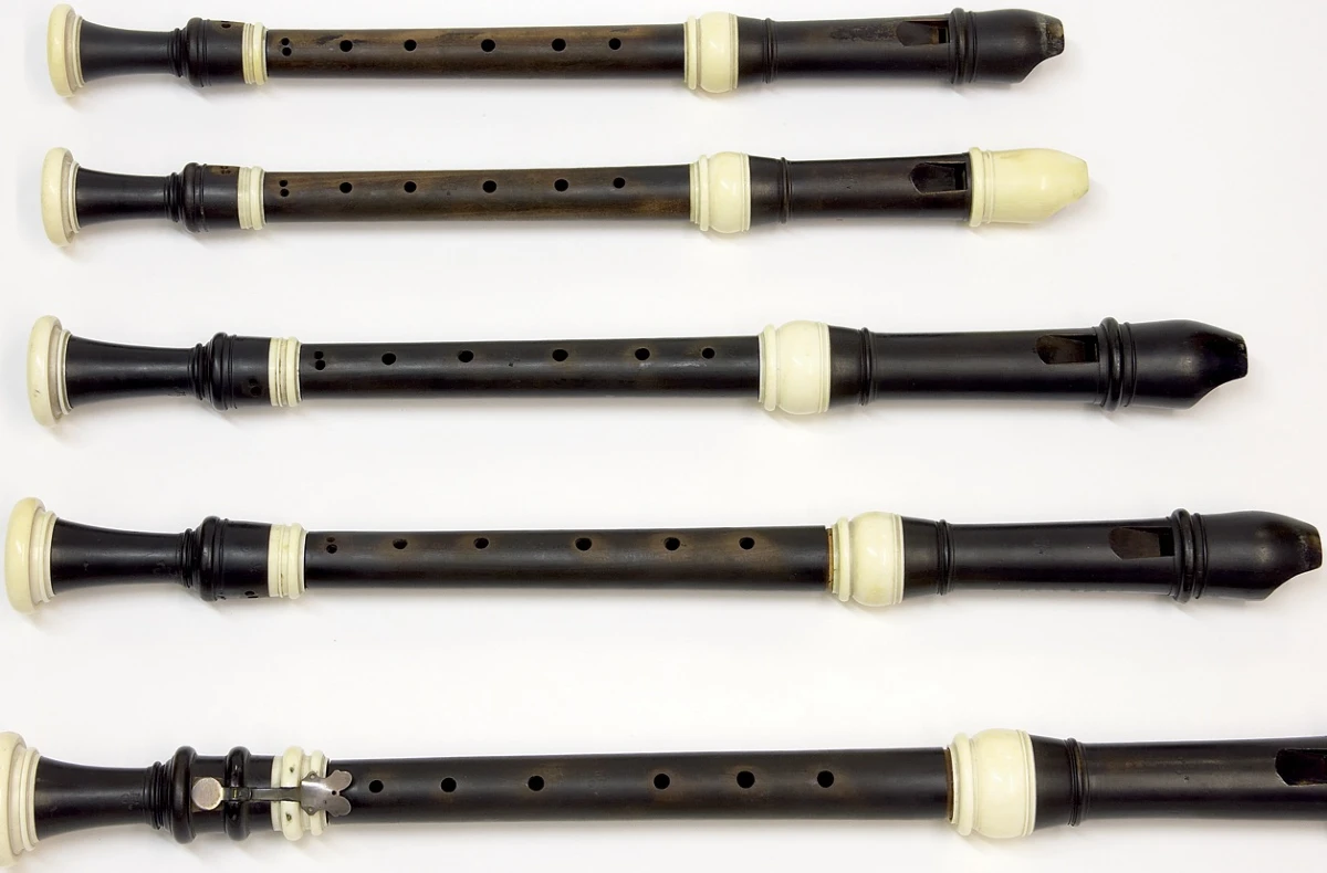 sao recorder