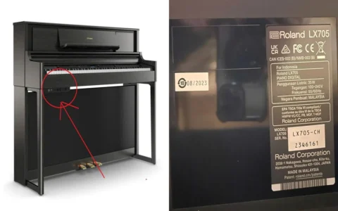 so serial cua cay dan piano dien roland lx-705