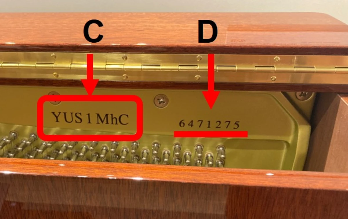 so serial duoc ghi tren dan upright piano
