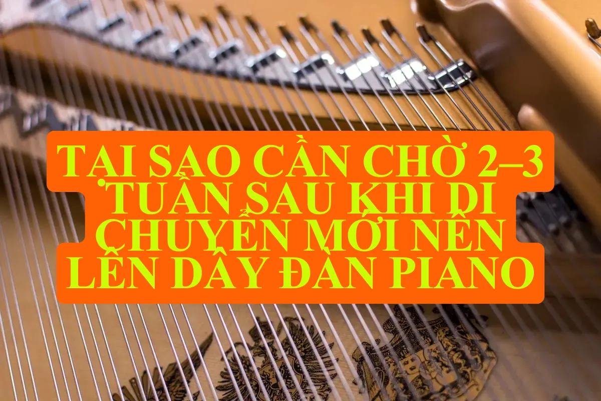 Tại sao cần chờ 2–3 tuần sau khi di chuyển mới nên lên dây đàn piano