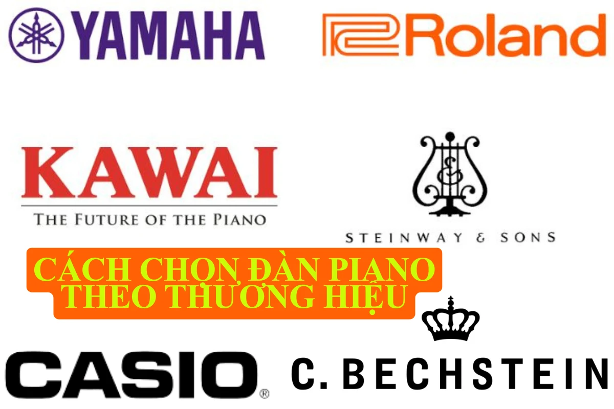 Cách chọn đàn piano theo thương hiệu: Bí quyết dành cho người mới và người chơi lâu năm