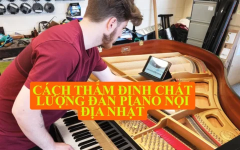 cach tham dinh chat luong dan piano noi dia nhat