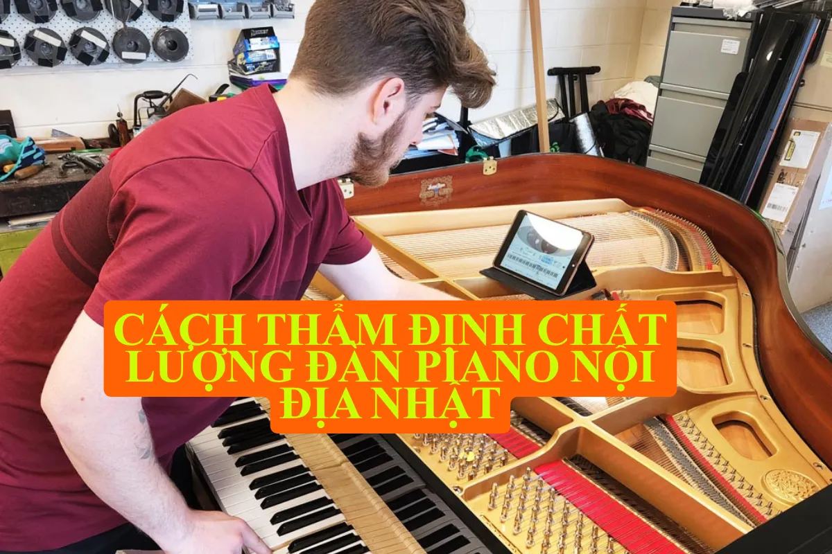 Cách thẩm định chất lượng đàn piano nội địa Nhật