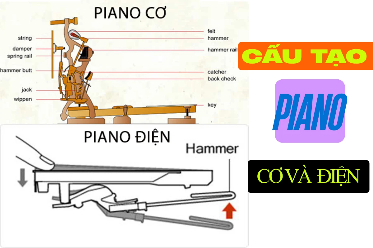 Cấu tạo đàn piano: So sánh chi tiết piano cơ và piano điện