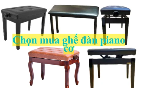 chon mua ghe dan piano co