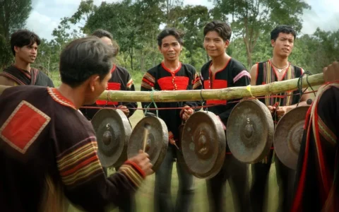 Các loại nhạc cụ dân tộc Việt Nam đặc sắc