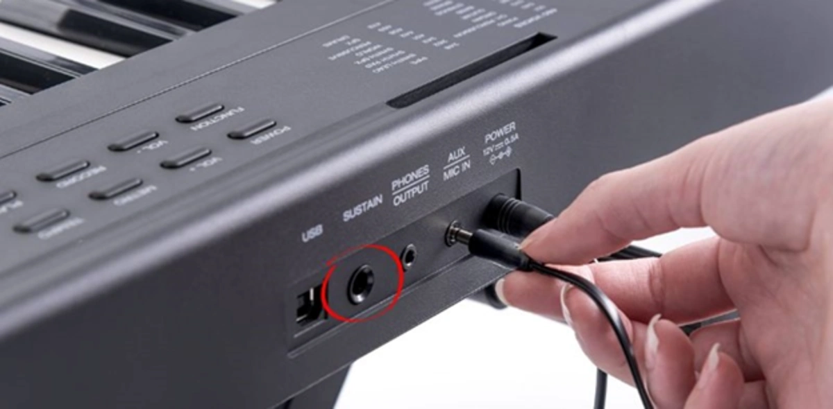 cong ket noi pedal sustain tren piano dien