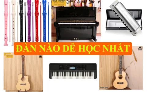 Đàn nào dễ học nhất cho người mới bắt đầu