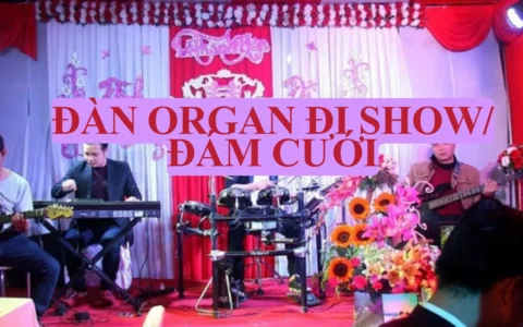 Cách chọn đàn organ đi show đám cưới chuyên nghiệp